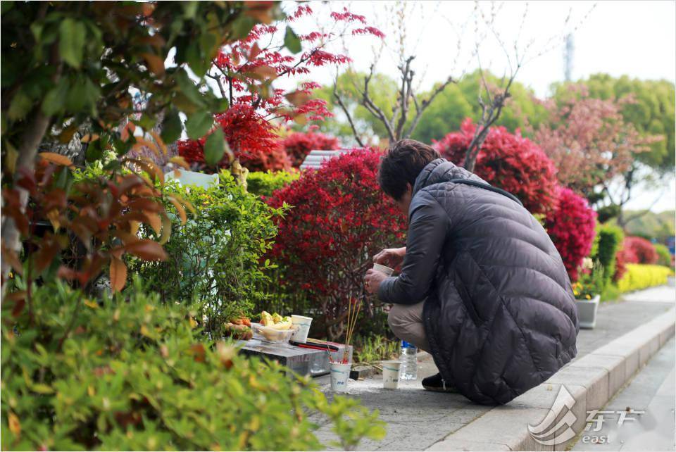 广州清明祭扫再迎高峰 无烟祭扫预约量逐年攀升