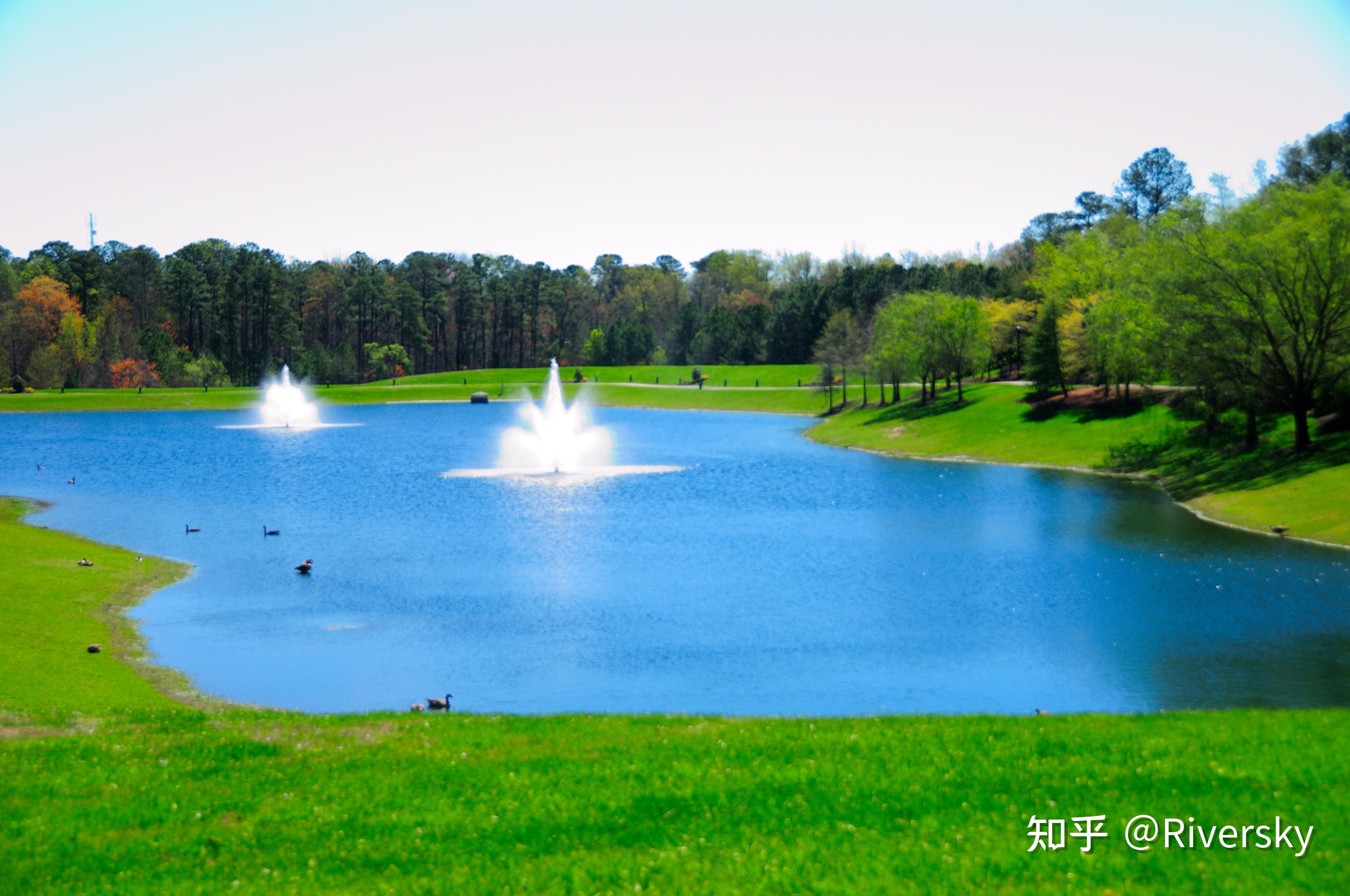 从单反黄昏到无反黎明：2026年中国数码相机行业深度观察_人保车险   品牌优势——快速了解燃油汽车车险,人保有温度