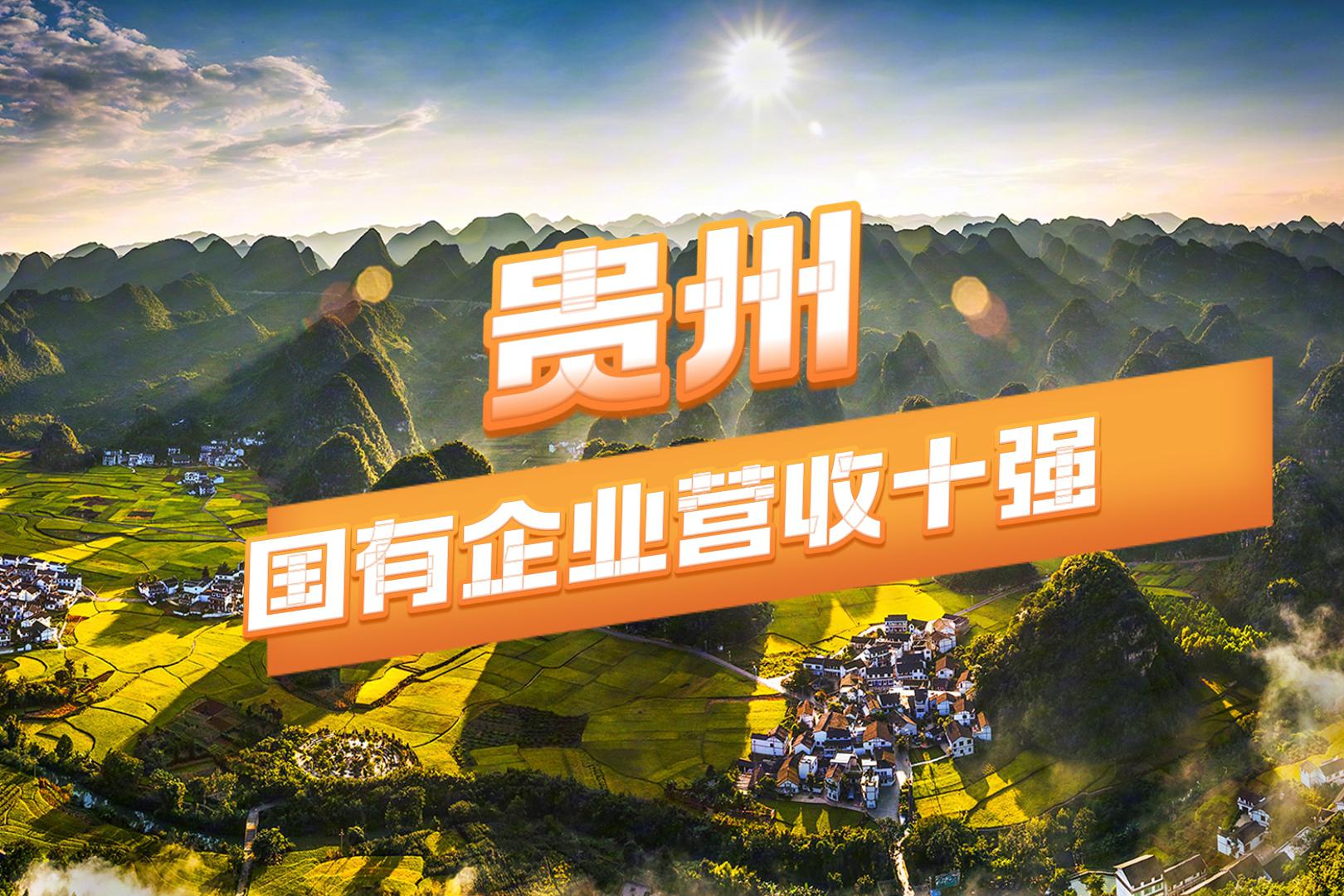 海大集团：公司宠物食品占营收比例极低