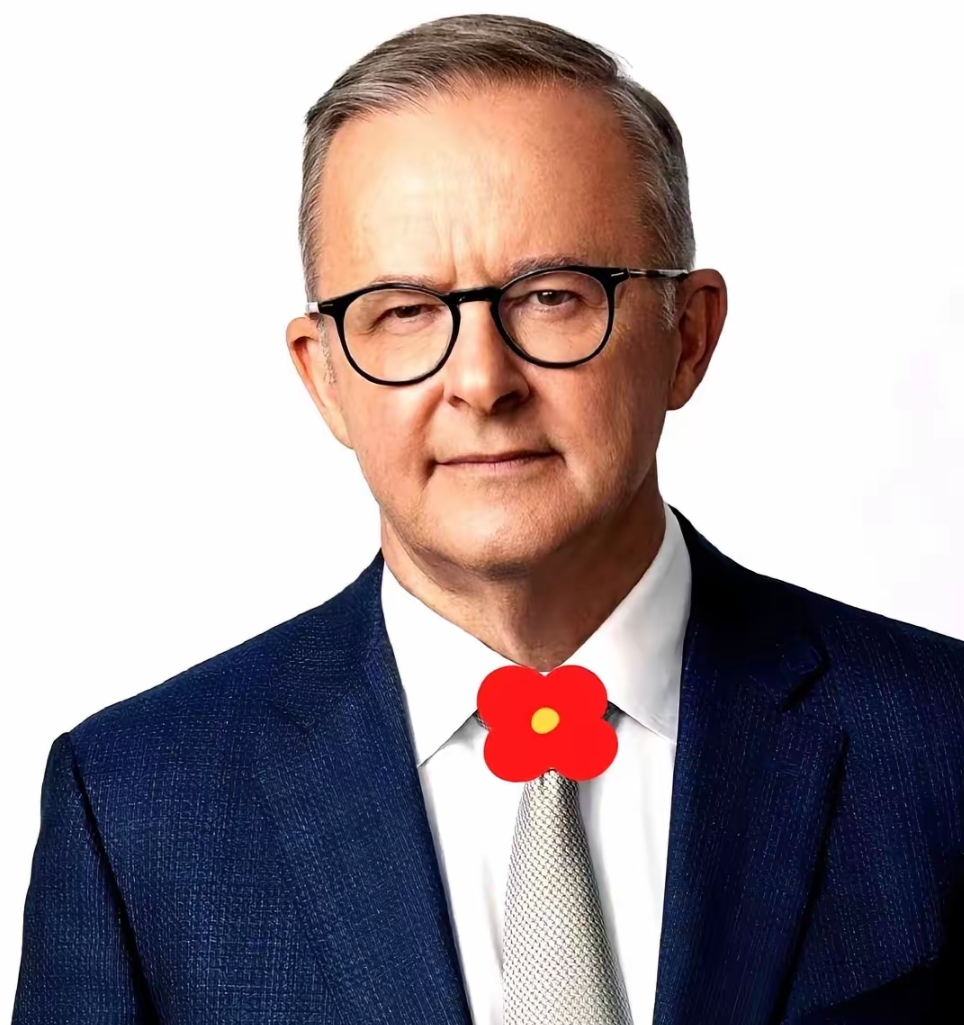 苹果任命John Ternus为首席执行官 蒂姆·库克转任执行董事长