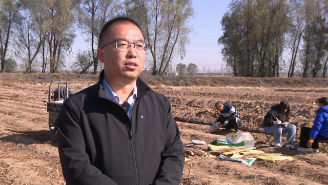 为田野插上科技的“翅膀”——南京国家农高区科技助力乡村振兴的故事