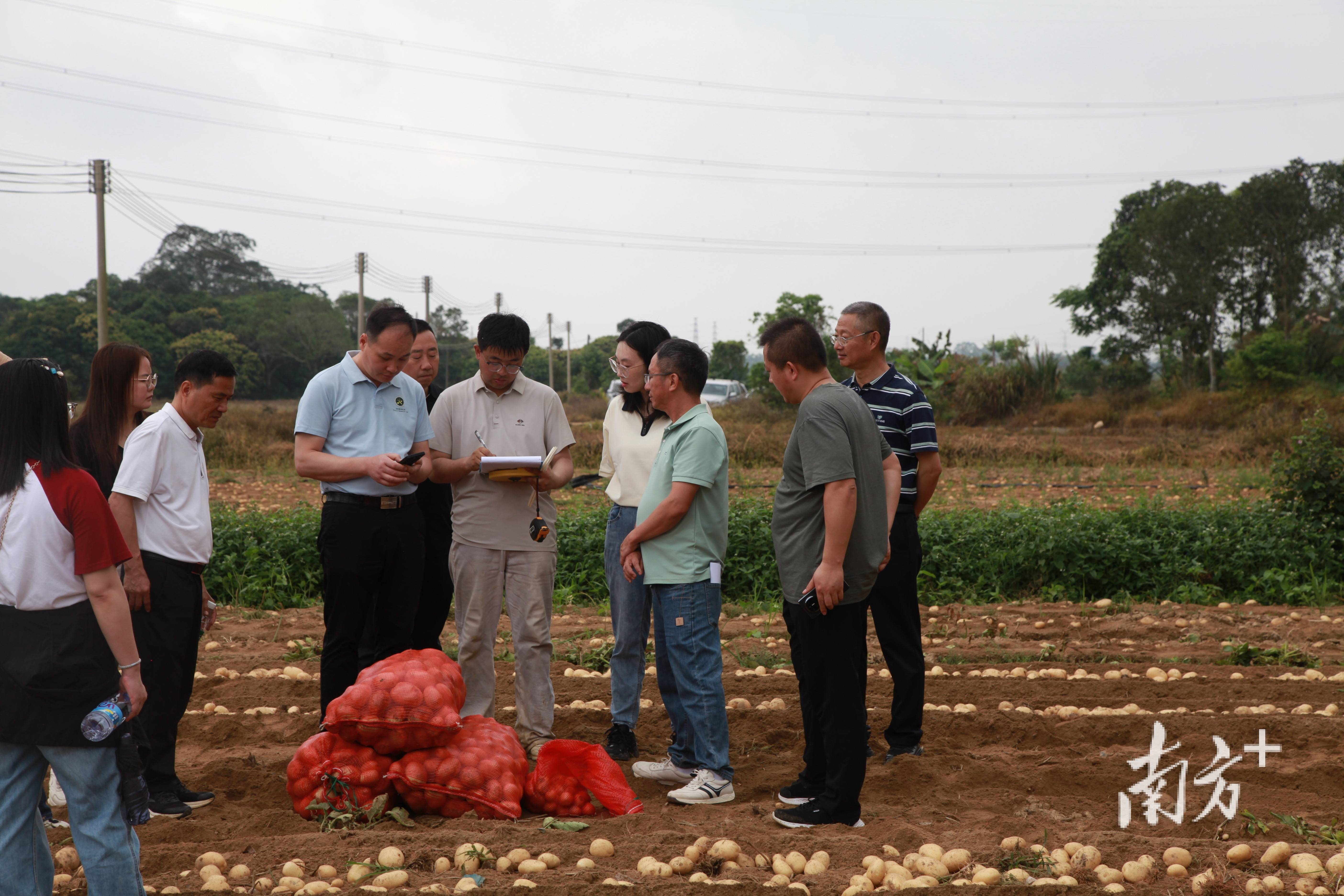 农业农村部：目前我国农作物自主选育品种面积占比超过95%