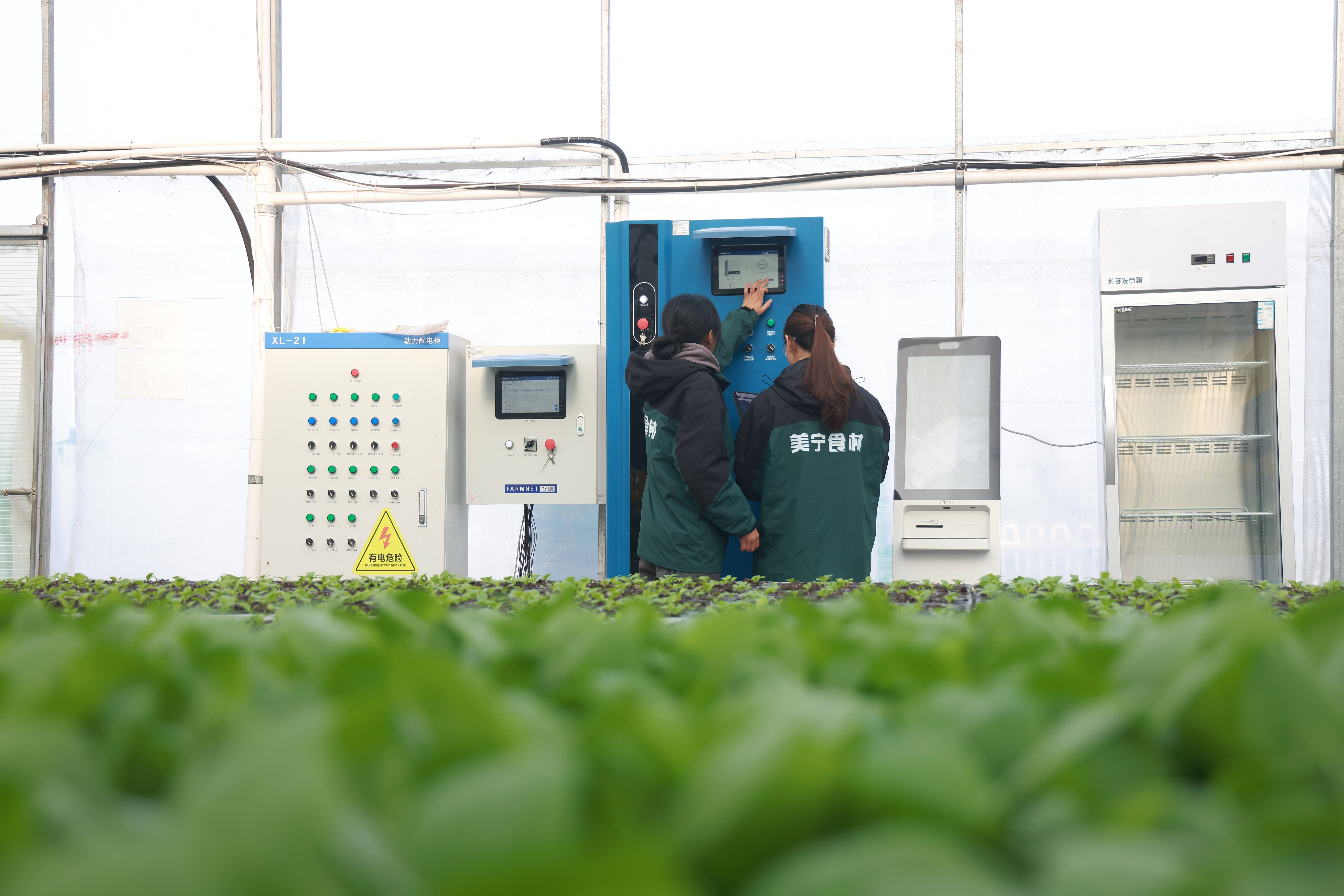 《2025-2030年中国智能播种机行业市场调查与发展前景分析报告》深度解读：智慧农业转型期的产业重构与战略投资指南_拥有“如意行”驾乘险，出行更顺畅！,人保护你周全